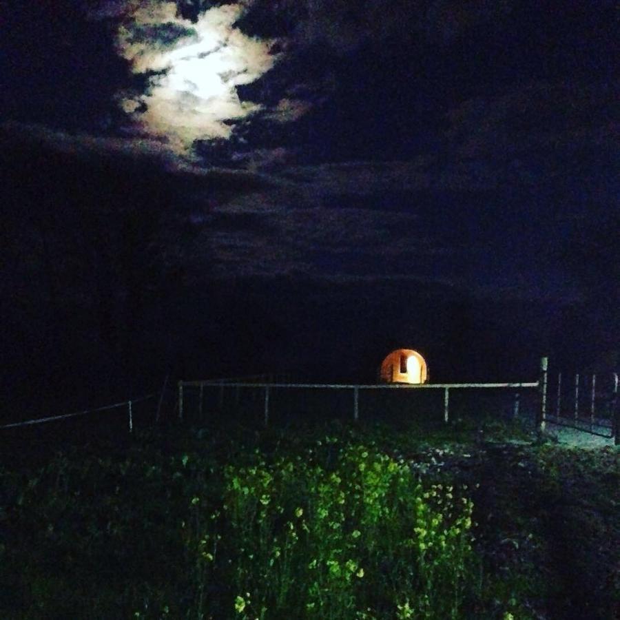 קילקני Carrigeen Glamping מראה חיצוני תמונה